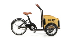 1cangoo-_36__2