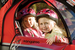 kangaroo_luxe_-children_window