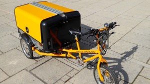 Aero-Cargo-Trike-Cycles-Maximus-doors-closed