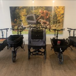 Schwerpunkt Hundetransport